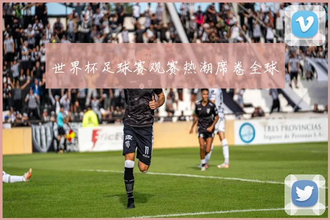 世界杯足球赛观赛热潮席卷全球
