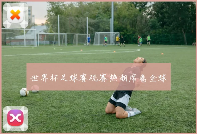 世界杯足球赛观赛热潮席卷全球