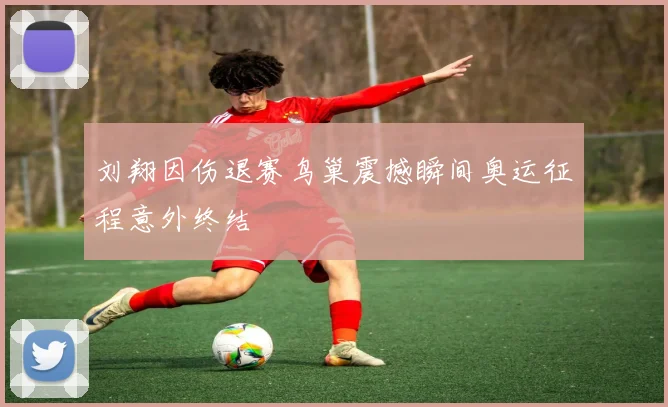 刘翔因伤退赛鸟巢震撼瞬间奥运征程意外终结