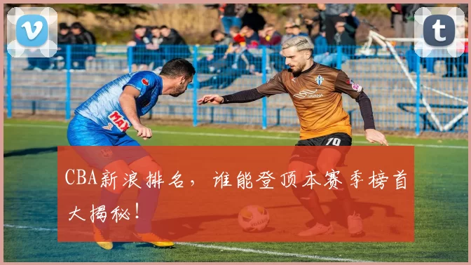 CBA新浪排名，谁能登顶本赛季榜首大揭秘！