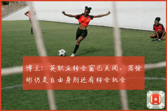 博主：英职业转会窗已关闭，若徐彬仍是自由身则还有转会机会