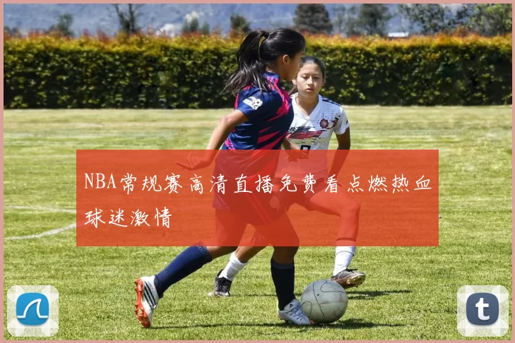 NBA常规赛高清直播免费看点燃热血球迷激情